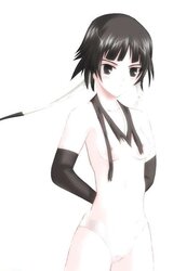 The Hentai Gallery