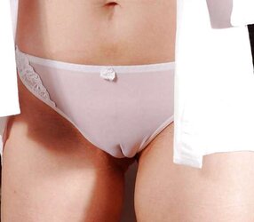 A diversity of camel toes