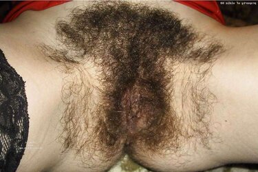 FUR COVERED inexperienced wives in undies and fur covered cootchies