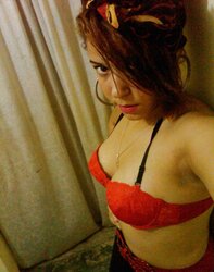Dominicana timida