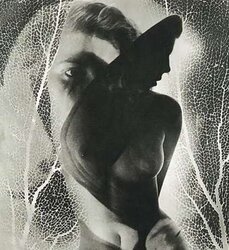Art Naked B