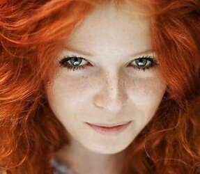 Redheads, crimson hair. Softcore sweeties.