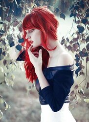 Redheads, crimson hair. Softcore sweeties.