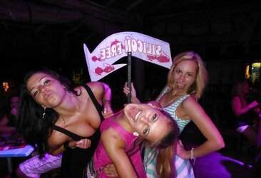 Facebook pig - spring break