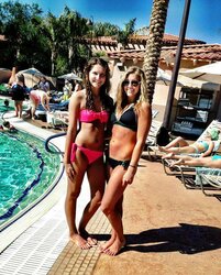 Facebook pig - spring break