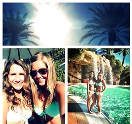 Facebook pig - spring break