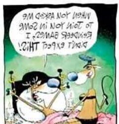 Christmas Humor