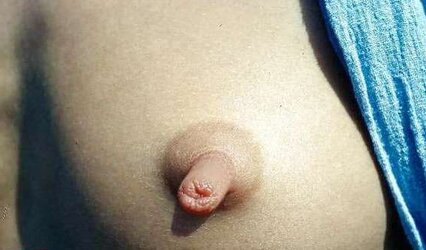 Some adorable nips
