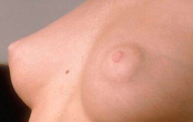 Some adorable nips