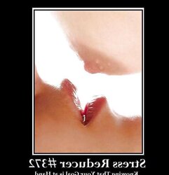 Funny Tension Reducer Posters 355 to