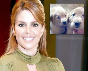 MARIA CELESTE ARRARAS PUTA RICA