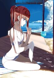 Steins Gate Hentai