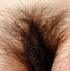 BUCETAS PELUDAS = fur covered cooch CLOSE
