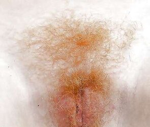Personal exposure hooters bootie and beaver combined