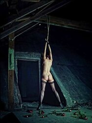 Quality pics BONDAGE & DISCIPLINE