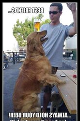 Alcohol Related