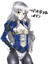 Tights and Stockings Anime-Manga-Hentai Vol 9.