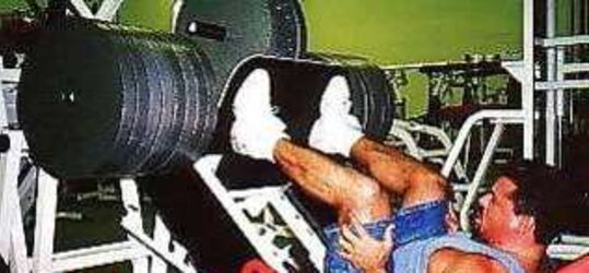 My bodybuilding pictures