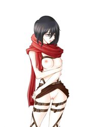 Shingeki no Kyojin