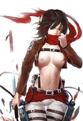 Shingeki no Kyojin