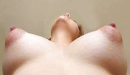 SPLENDID NIPS