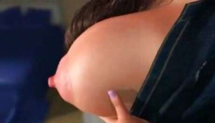 SPLENDID NIPS
