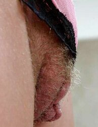 Fur Covered fantasies