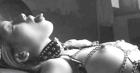Ebony and White 328!