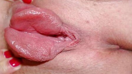 Pumped beaver lips