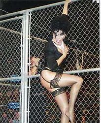 Sherri Martel