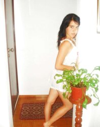Pitas Tugas