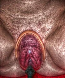 HDR Bilder Photos