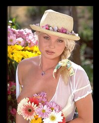 Silvia saint - flower damsel