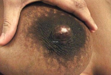 Indian lactating
