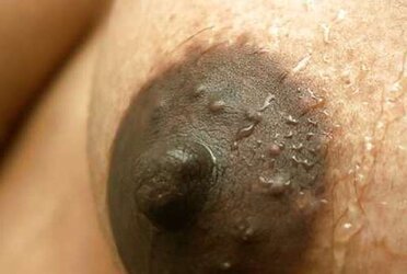 Sri Lankan wifey deep throating shaft