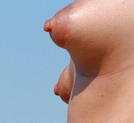 More Pointy Nips (demand)