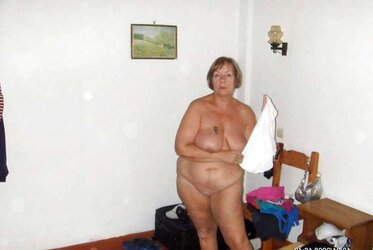 Vieja Zorra