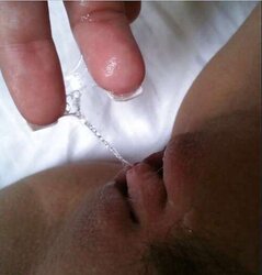 Succulent furry vulvas