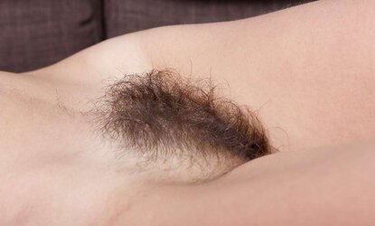 My Furry Cunny Bevy Images