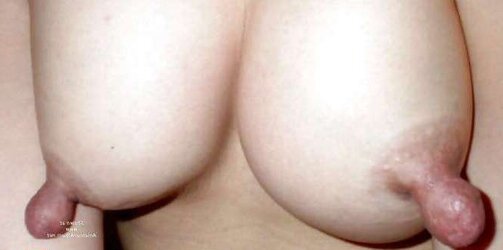 Puffies bevy