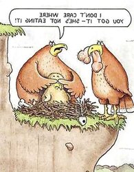 Steaming Funny Adult Cartoons