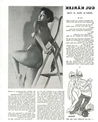 (BD) Vintage Swedish Mag