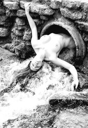 Erotica Revolution