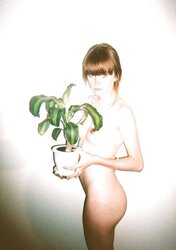 Self shot, amateurs, and the like