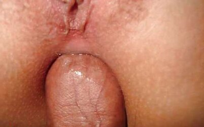 Fledgling ass-fuck