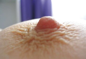 083 Nips Pezones
