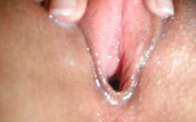 CHOCHITOS RICOS