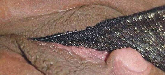 CHOCHITOS RICOS
