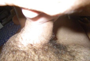 Les deux cochons...suite