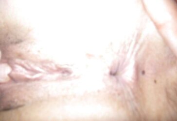 Les deux cochons...suite